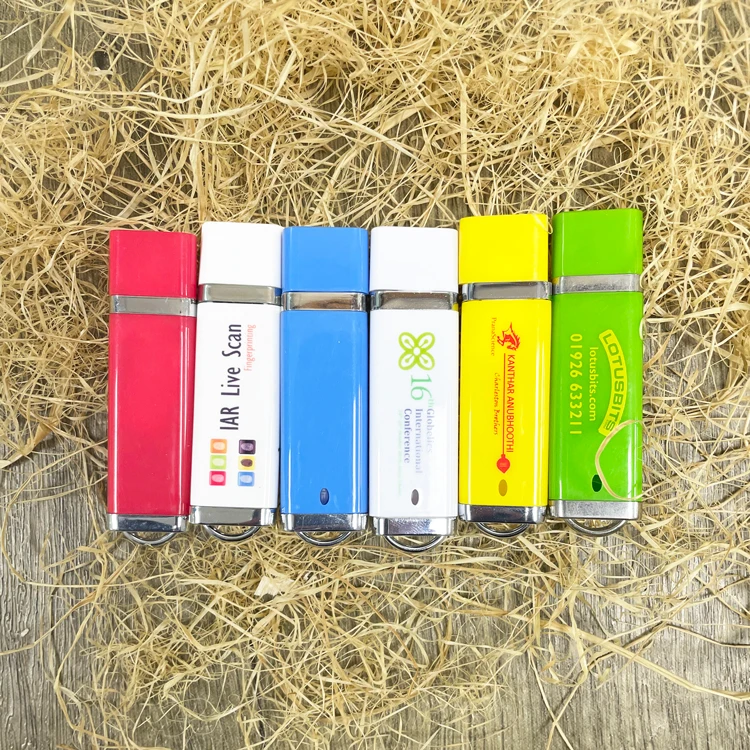 Bulk Cheap Business Gift Plastic USB Flash Drive 1GB 2GB 4GB 8GB 16GB 2.0 USB Stick Pen Drive with Custom Logo - ANKUX.COM