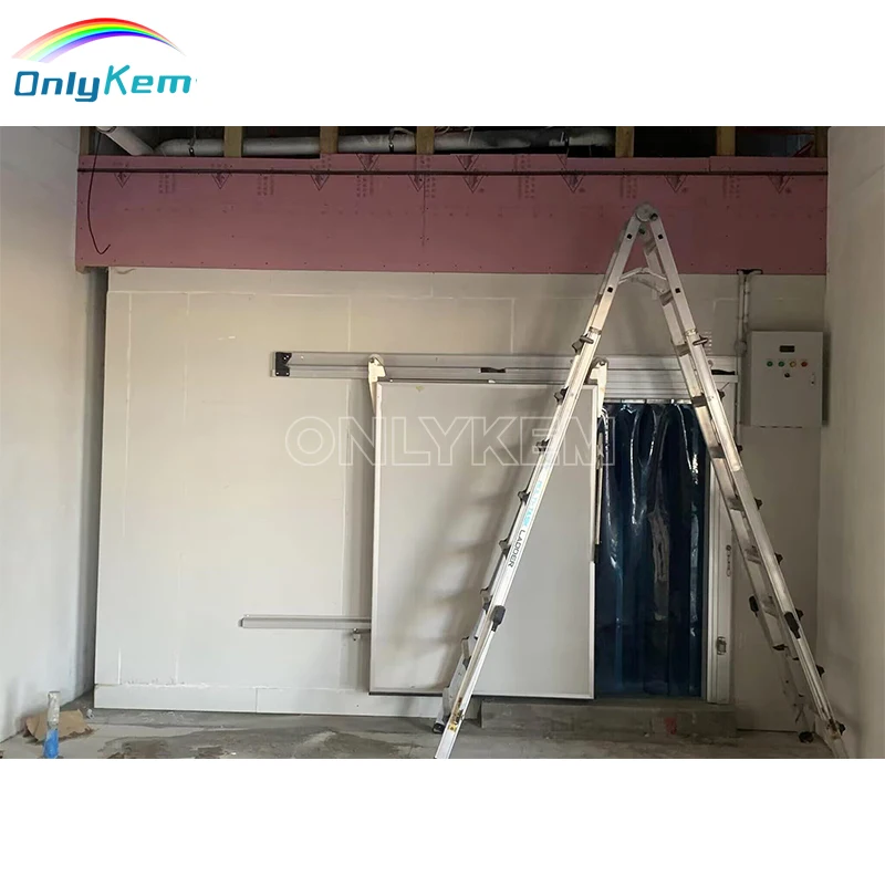 Walk in Freezer Cold Storage Butcher Shop Cold Room for Sausage Meat Processing Plant