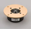 Antimagnetic gold