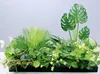 green Style i