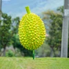 สีเขียว