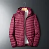 wine red2