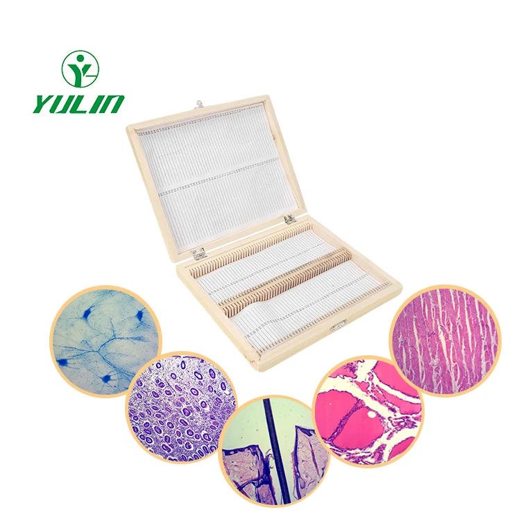 Medicine Educational Human Histology Microscope Slides 100 Pcs Set