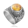 Steel-colored yellow stone (US name)