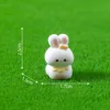 4 yellow-collar little rabbit