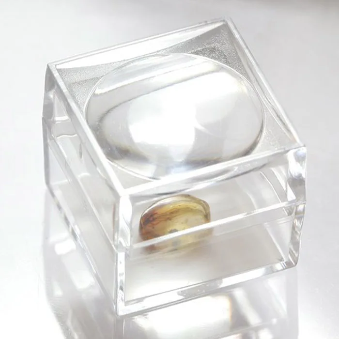 1 Inch Magnifying Box 4x Magnification Acrylic Cube