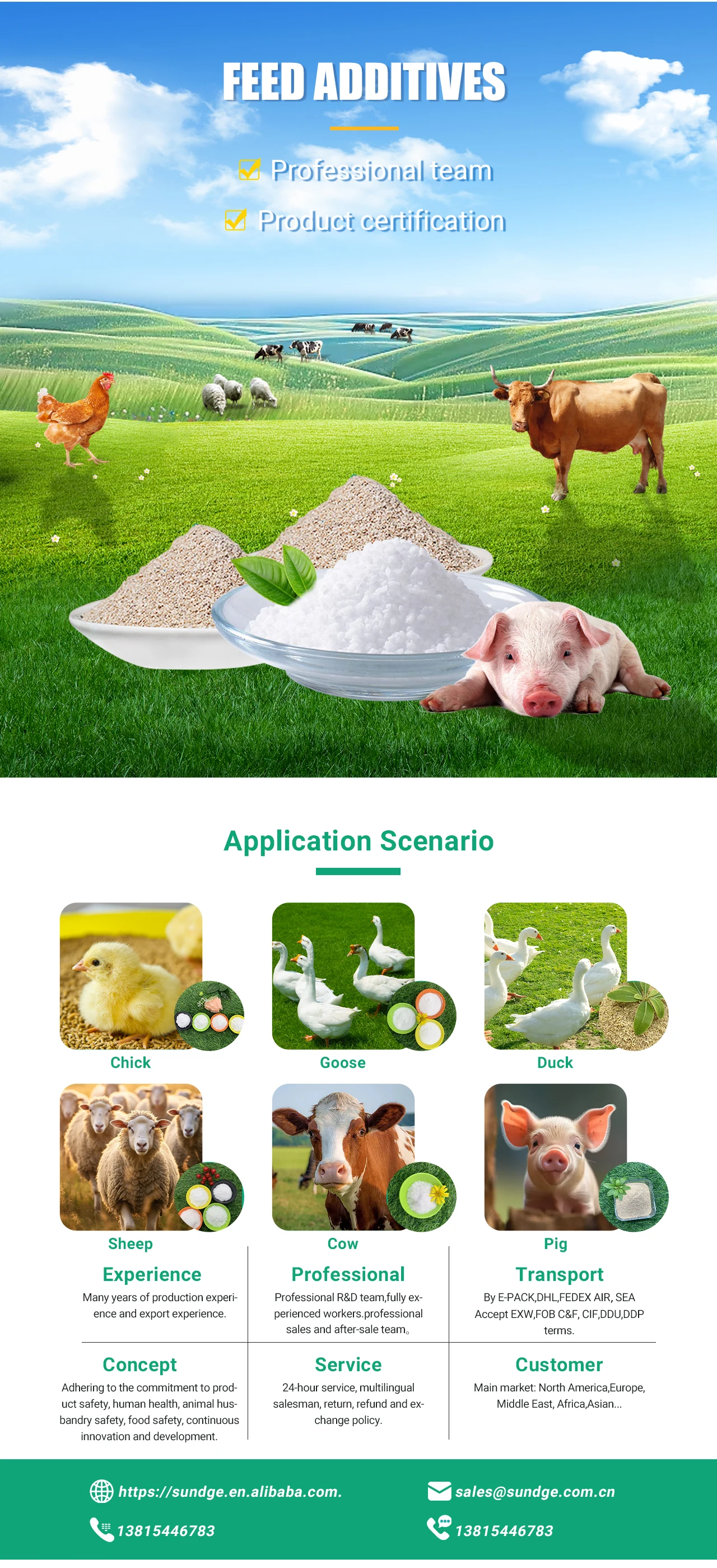 SUNDGE Chinese Professional Supply Feed Additive Nutrition Enhancers CAS 56-12-2 GABA powder Aminobutyric Acid manufacture