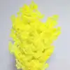 Lemon yellow