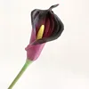 SKU6