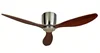 Brown+silvery motor