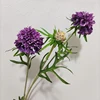 dark purple