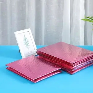 Hot Sale Custom Packaging Mailing Bag Envelope Low Price Waterproof Poly Bubble for Express Parcel Delivery Packing for Clothing