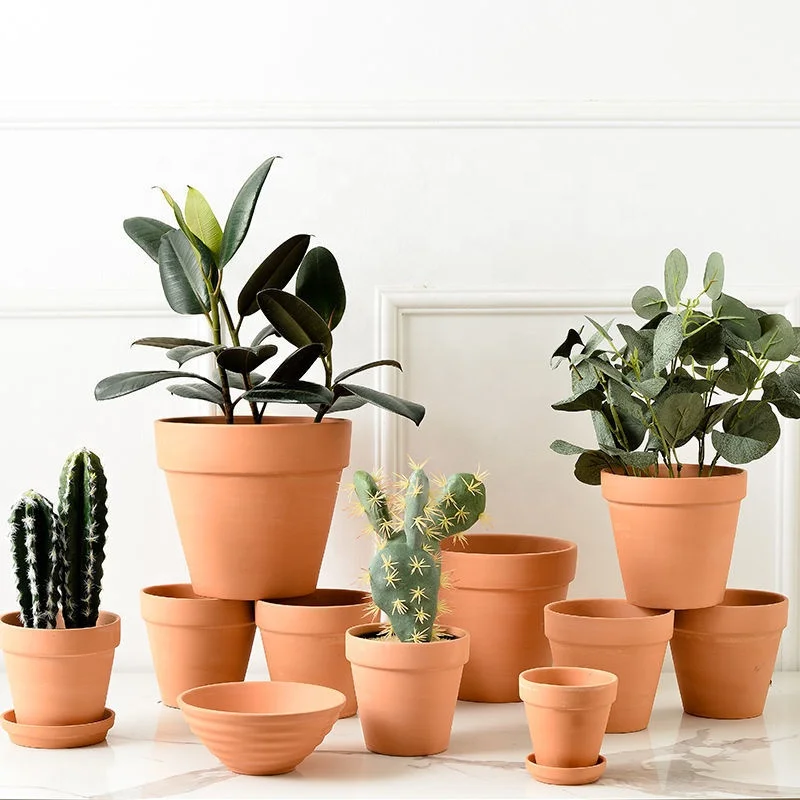 Mini Terracotta Pots - Eco-Friendly Ceramic Succulent Plant Pots