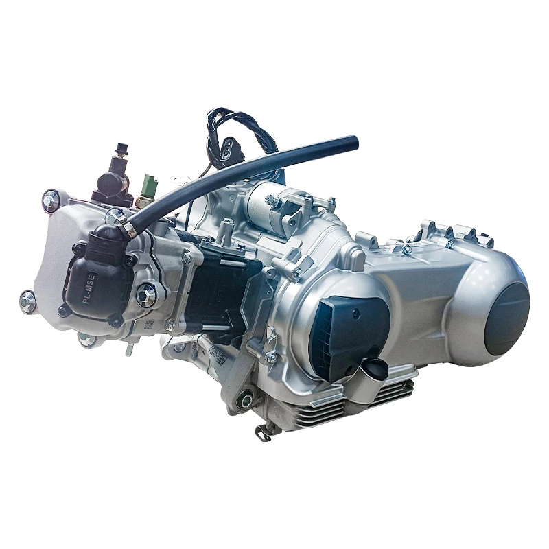 Piaggio Engine 250cc-300cc for High Performance Scooters