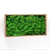 Verde-6 stile