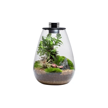 Bio glass bottles biolark terrarium glass for plants decoration mossarium SD175/200