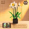101-11 Daffodils