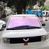 Viola