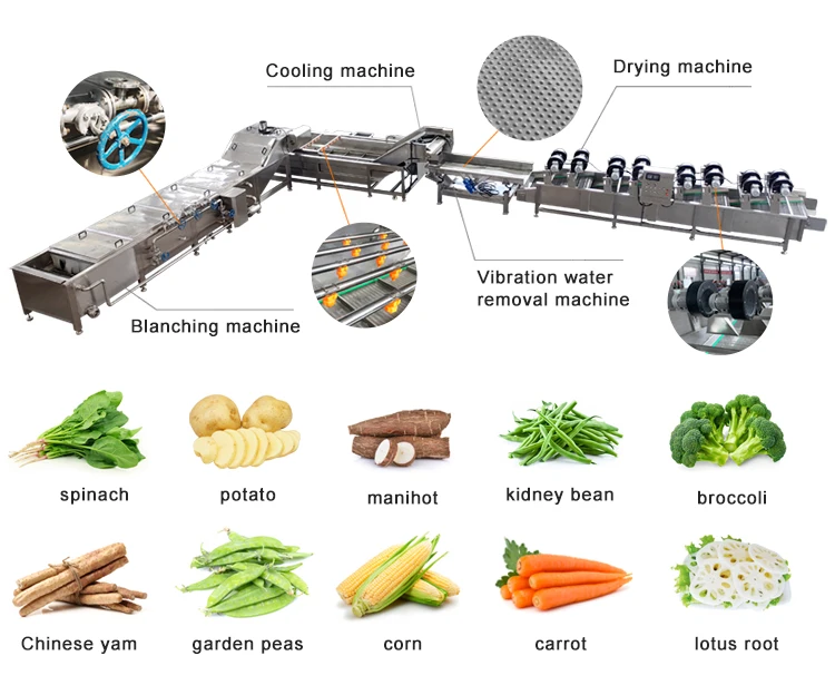 Fish Seafood Eggplant Pineapple Groundnut Noodle Shrimp Blanch Equipment Banana Chips Conveyor vegetable Blanching Machine manufacture