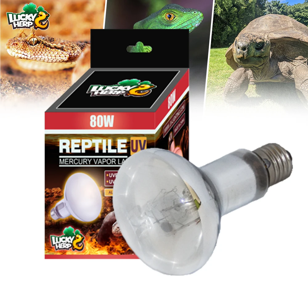 wholesale cheap price reptile uvb uva Alibaba