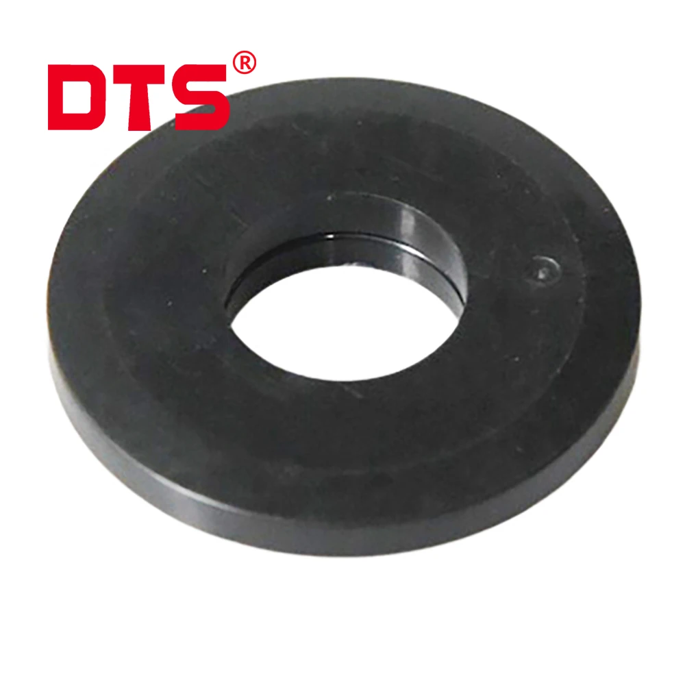 スプリングボック（ショルダーマウント）剥製 スプリングボック（ショルダーマウント）剥製