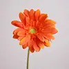 05-Orange