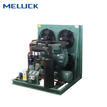 12Hp Low Temperature Refrigeration Cold Room Condensing Unit Air Cooled Refrigeration Freezer Compressor Condensing Unit