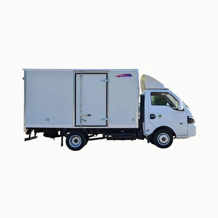 China Mini Van Box Cargo Truck for Sale in Philippines