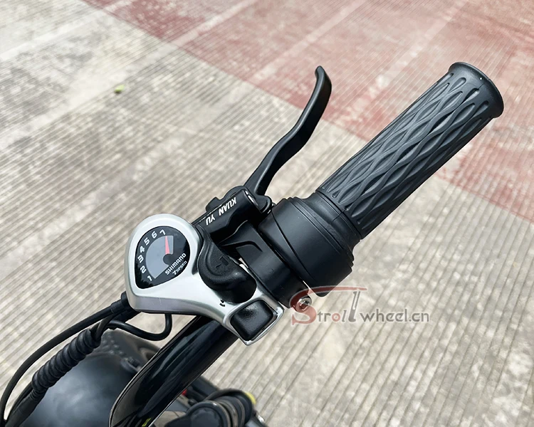 Powerful Hunting 52V 1000W Mid Drive Ebike 21AH SDI Battery Full Suspension Electric Bike 26 Inch Fat Tire Mountain Ebike