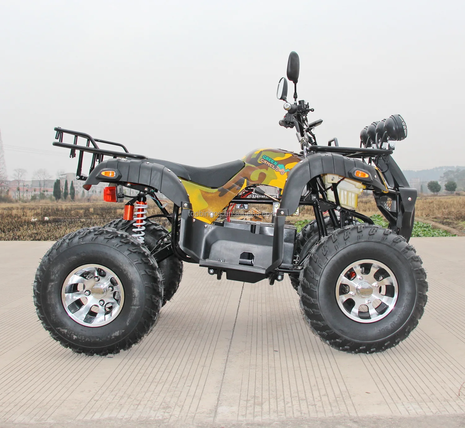 Cheap Atv 3000 Lithium Electric Quad Bikes Adult Two Seats Quadercycle