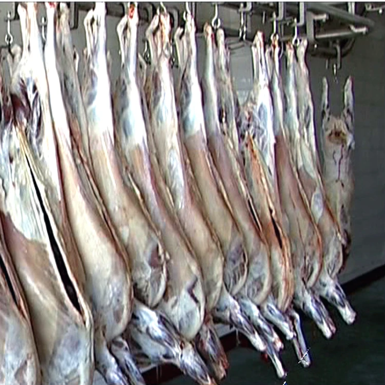 Cold defrost chamber for frozen meat and beef products