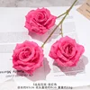 Rosa Madder 4