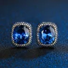 Black gold Blue pointed crystal ear studs