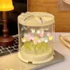 19 Mixed Color Jelly Petals+Cake Box