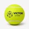 VICTOR