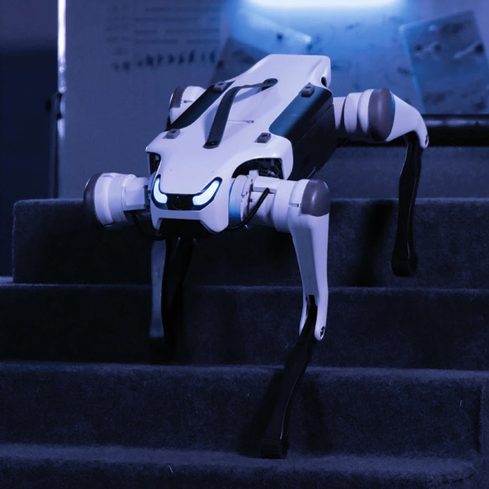 High-Performance Lite 3 Quadruped Robot Dog for STEM Education and Robotics Research