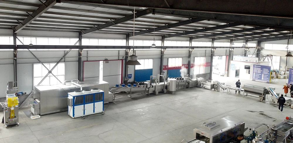 Automatic French Fries Processing Line manufacture