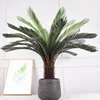 28-leaf Cycas, H130CM