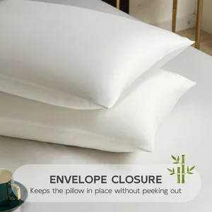 Luxury Grade 100% Pure Mulberry Silk Pillowcase Woven Modern Hypoallergenic Envelop Closure for Hospital & Home Use