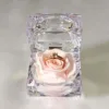 Champagne