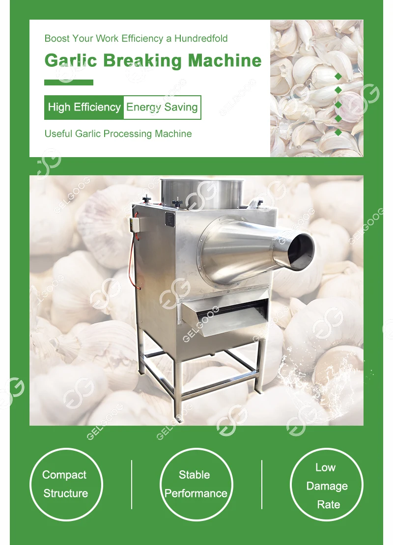 Automatic Large Peeled Garlic Sorter Selecting Peeling Processing Equipment Break Garlic and Peeler Machine 500Kg