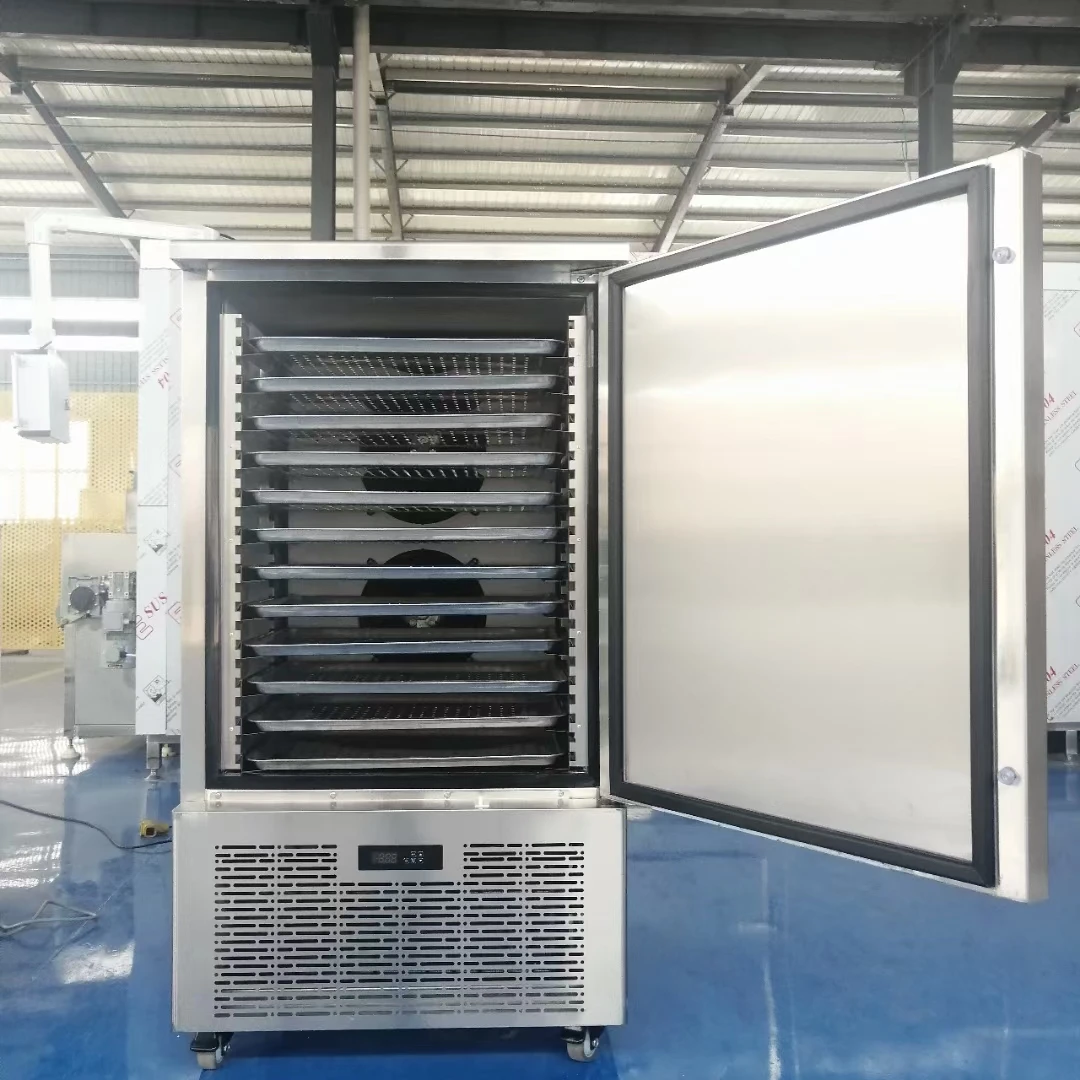 Blast Freezer, 220v50hz, 1600w - detail 14
