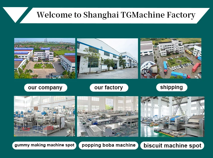 Chocolate Making Machine Chocolate Molding Machine Production Line