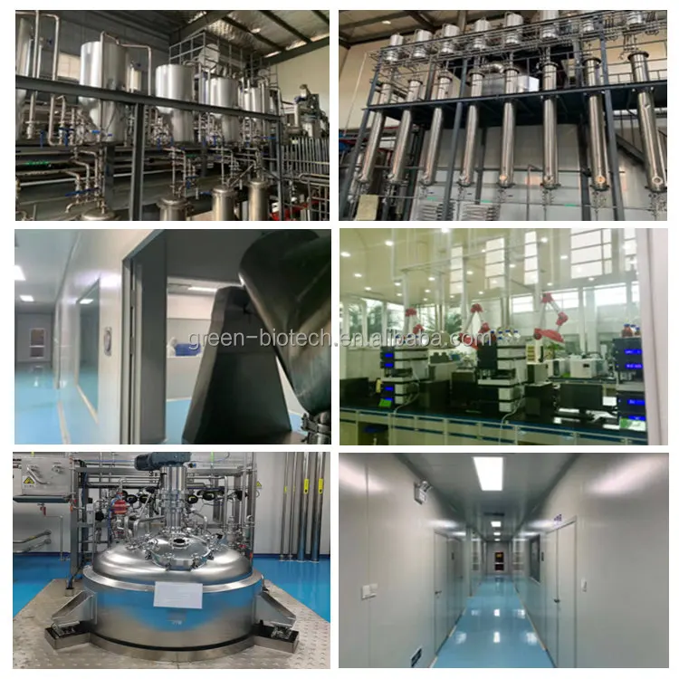 Tongkat Ali Extract Capsules 100 Natural Tongkat Ali Extract Powder