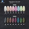Holo-Disco Top Coat