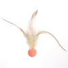 สีส้ม (ลูกยางยืด 2.5ซม.)