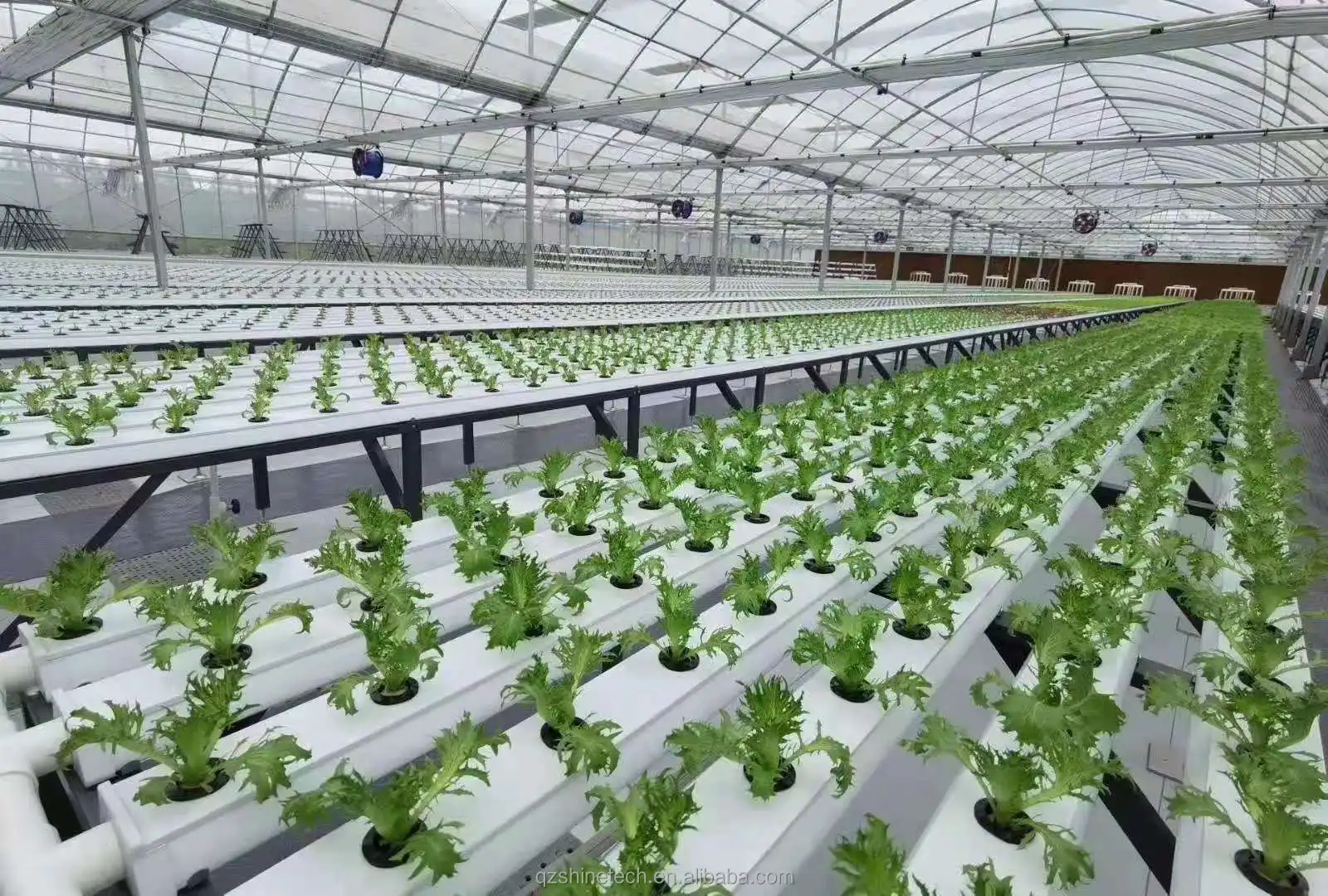 lettuce grow channel pipe