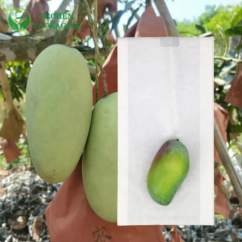 Bolsa de grado alimenticio Bolsas de uva biodegradables Bolsas De Papel Para Proteger Guayaba