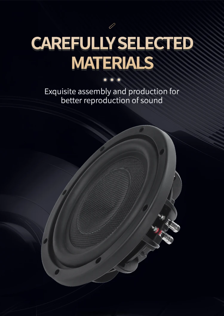 High Quality Powered Subwoofer Carbon Fiber Cone Dual 10 12 Inch Bass