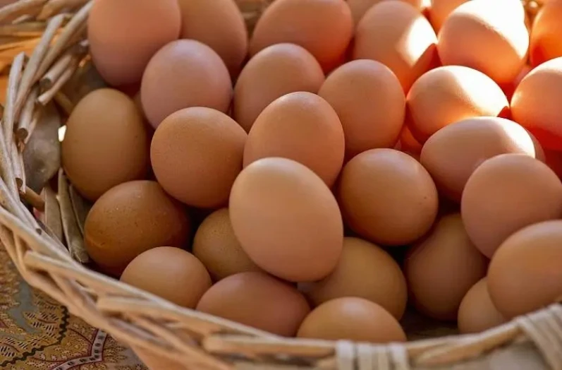 Shop Alternative Source of Feed Additives High Productivity 25-Hydroxyvitamin D3 (25(OH)D3) for Broilers and Layers-Detailed Image 3